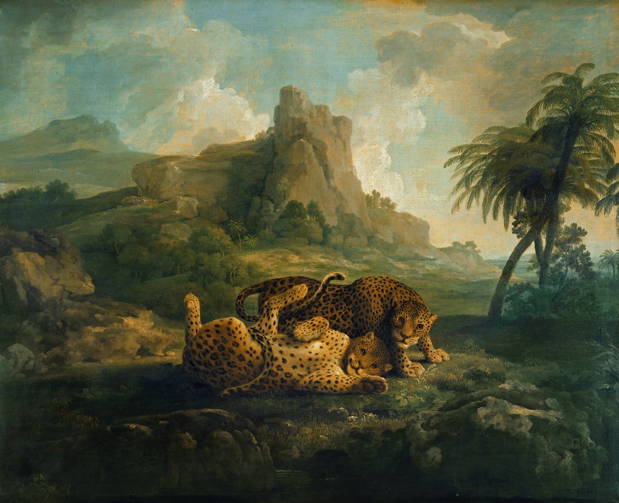 Tygers at Play, ca. 1763-8 av George Stubbs