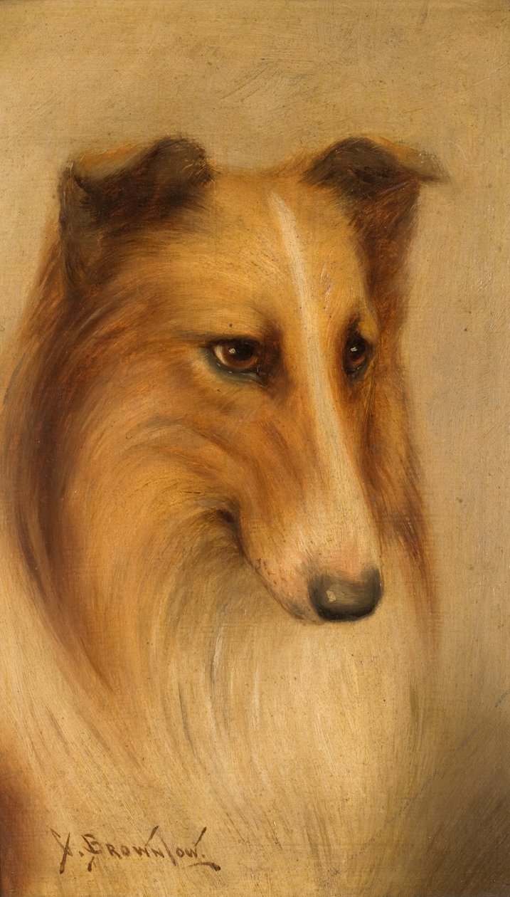 Collie olje om bord av George Washington Brownlow