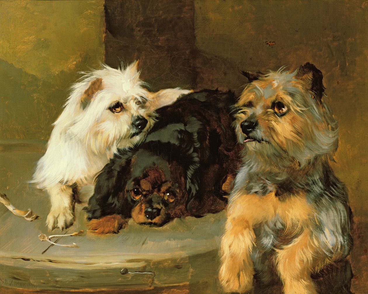Gi en stakkars hund et bein av George Wiliam Horlor