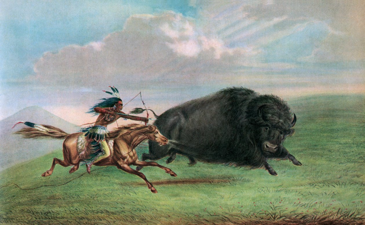 Trykk etter Buffalo Hunt av George Catlin, ca. 1920 (skjermtrykk) av George (after) Catlin