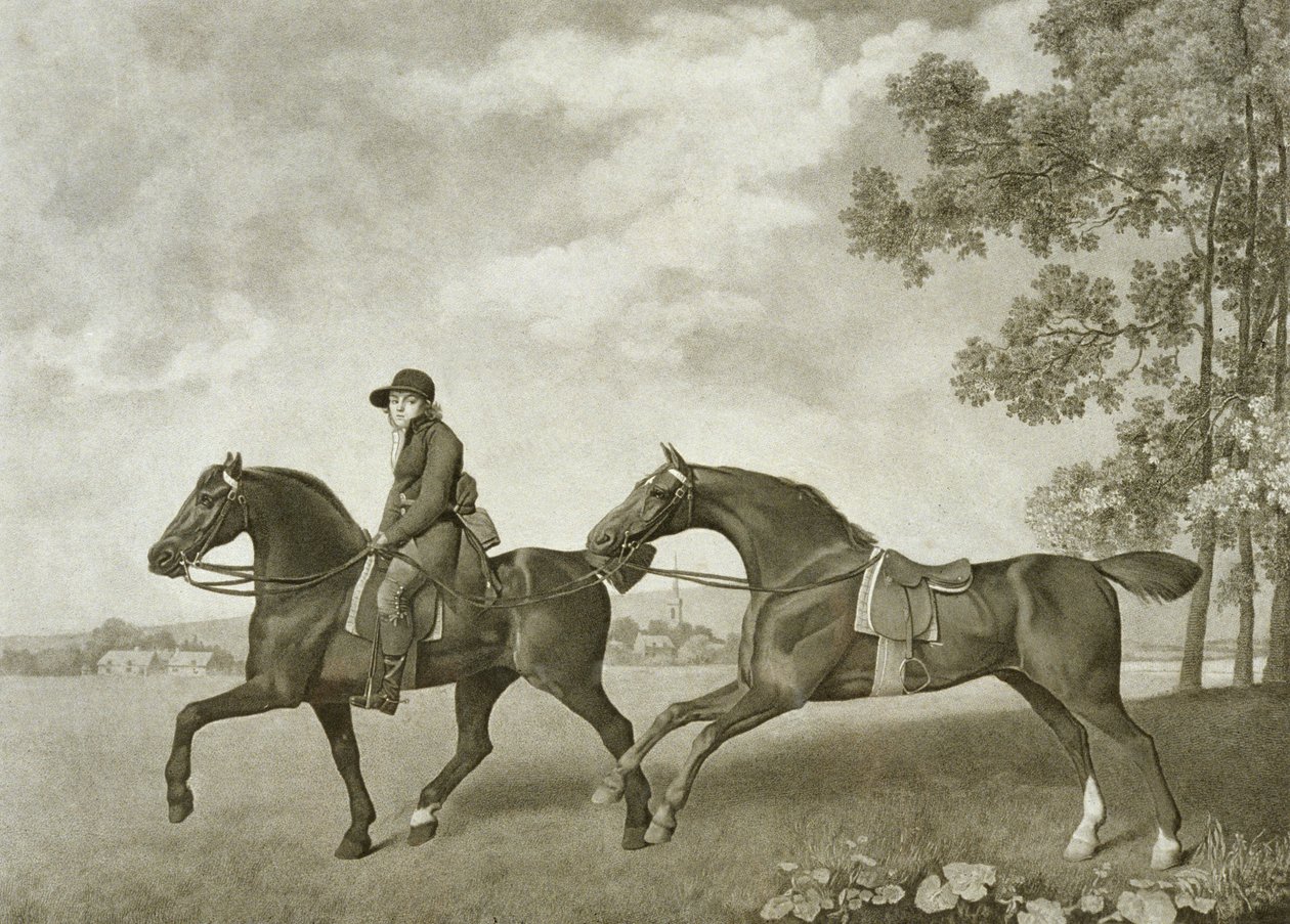 Two Hacks, gravert av George Townley Stubbs (bap.1748-c.1815) (litho) av George (after) Stubbs