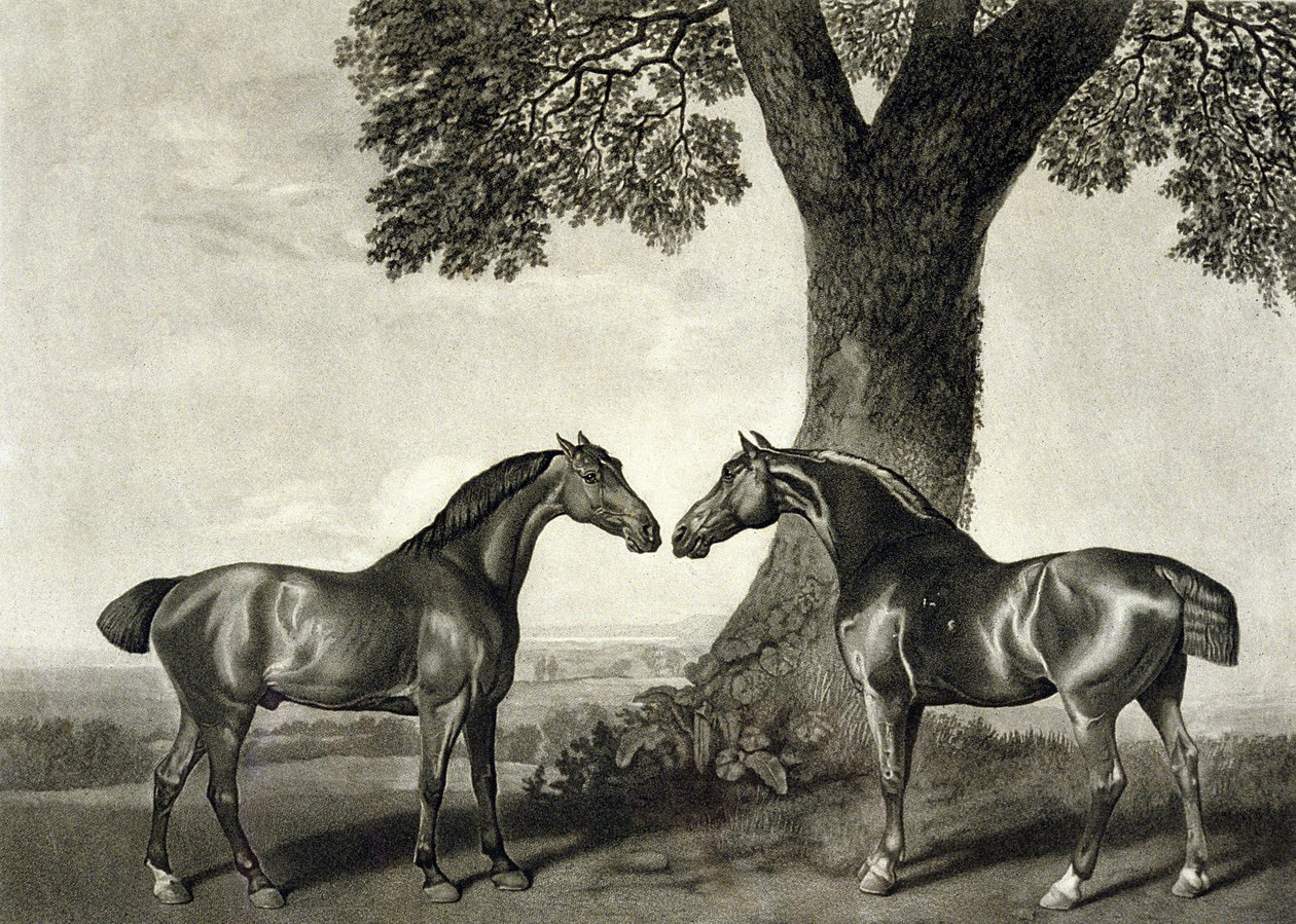 To jegere, gravert av G.T. Stubbs (bap.1748-c.1815) (litho) (se også 266802) av George (after) Stubbs