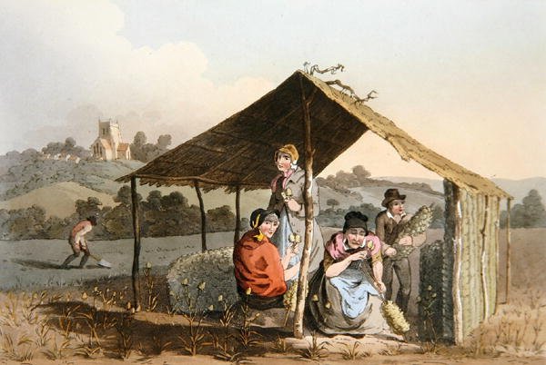 Teazle Field, fra `Costume of Yorkshire' gravert av Robert Havell (1769-1832) 1814 (farge litho) av George (after) Walker