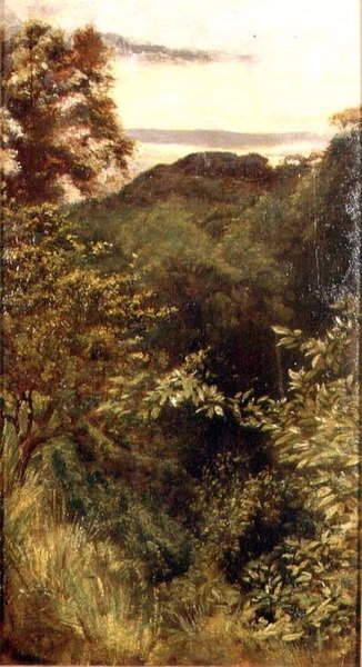 The Glen, Naworth, Cumbria (olje på panel) av George 9th Earl of Carlisle Howard
