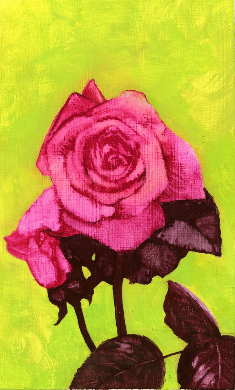 Bright Rose, 1980-tallet (gouache på gessoed hardboard) av George Adamson