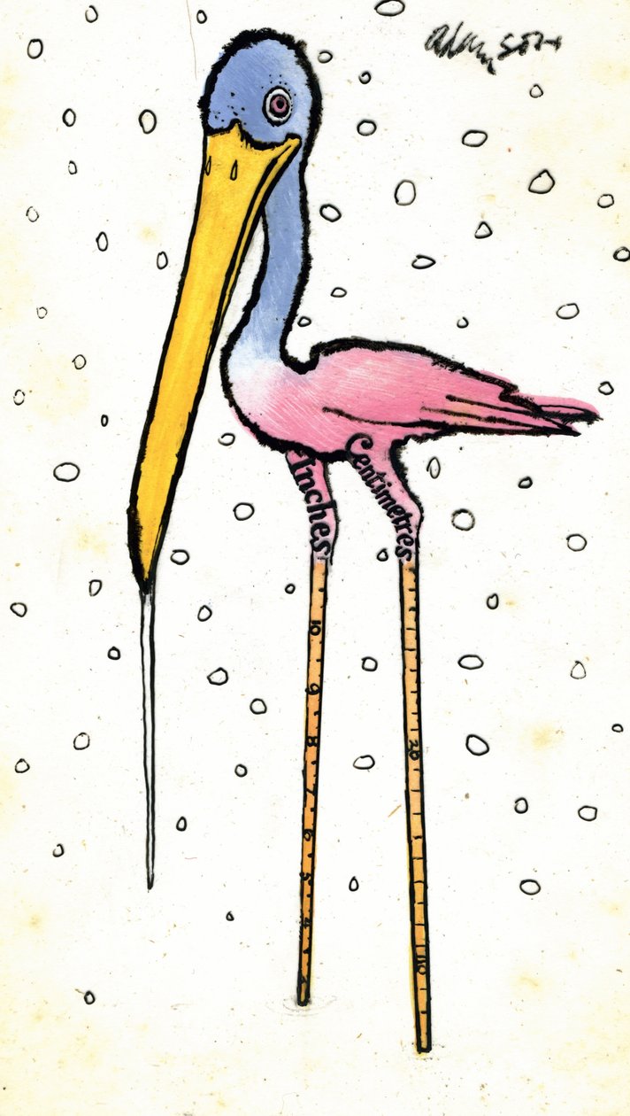 Stork with Calibrated Shanks, 1970-tallet (indian blekk på gjennomsiktighet over gouache på kort) av George Adamson
