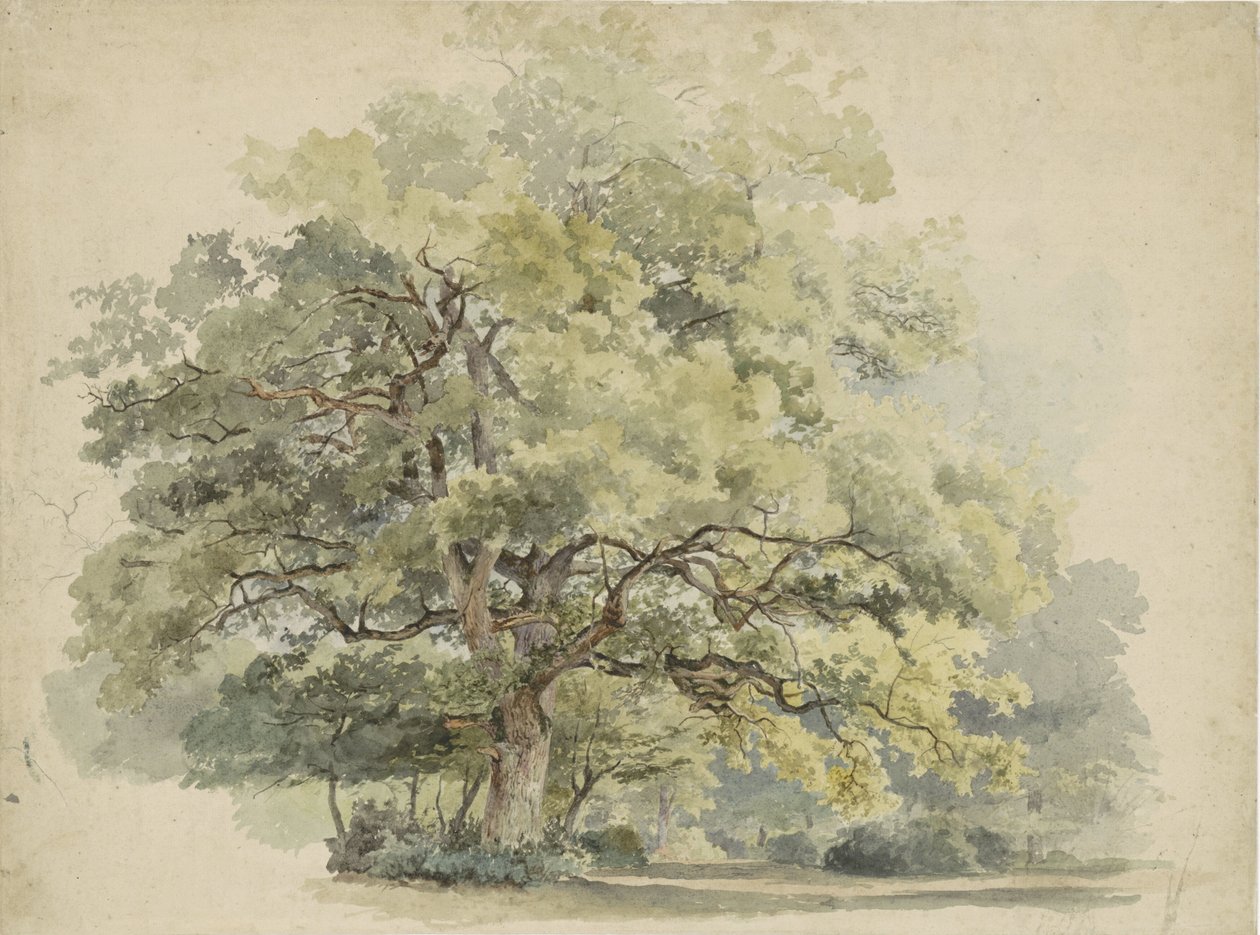 Trestudie av George Andries Roth