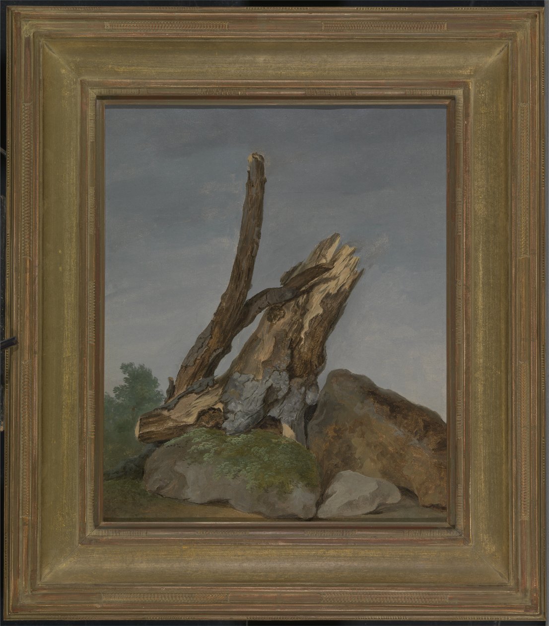 Study of Rocks and Branches, ca. 1795 (olje på papir) av George Augustus Wallis