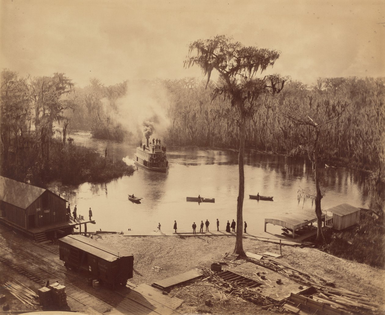 Silver Springs, Florida av George Barker