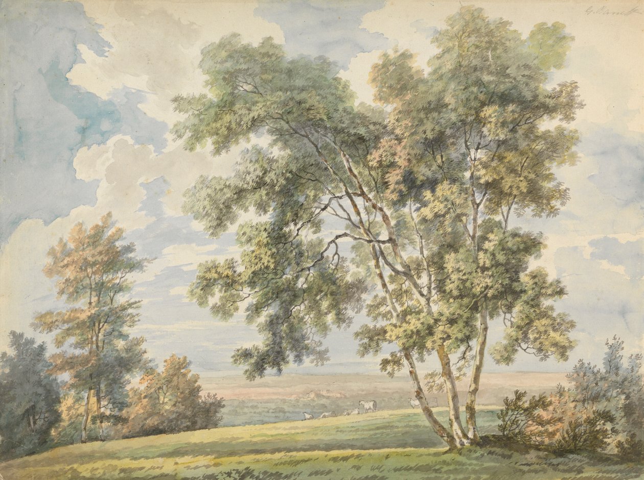 Landskap med trær og sauer (parklandskap med sauer) av George Barret