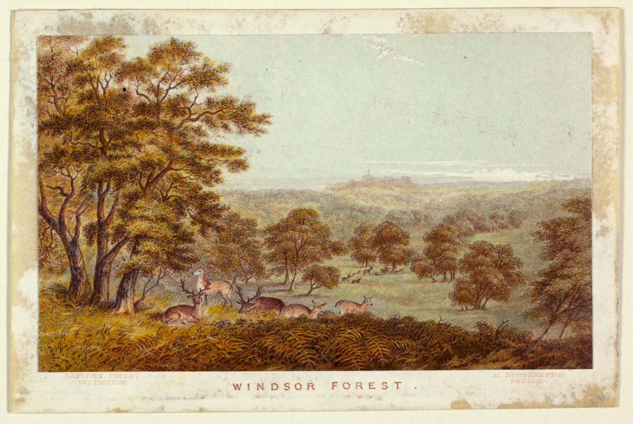 Windsor Forest - pocketbokutgave av George Baxter