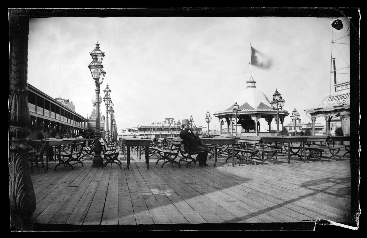 Cables and Iron Cow, Coney Island, Brooklyn, ca. 1872-87 (våtkollosjon negativ) av George Bradford Brainerd
