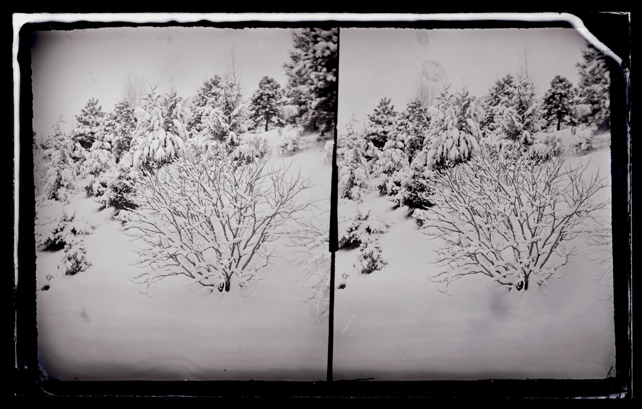 Prospect Park, Brooklyn, ca. 1872-87 (våtkollosjon negativ) av George Bradford Brainerd