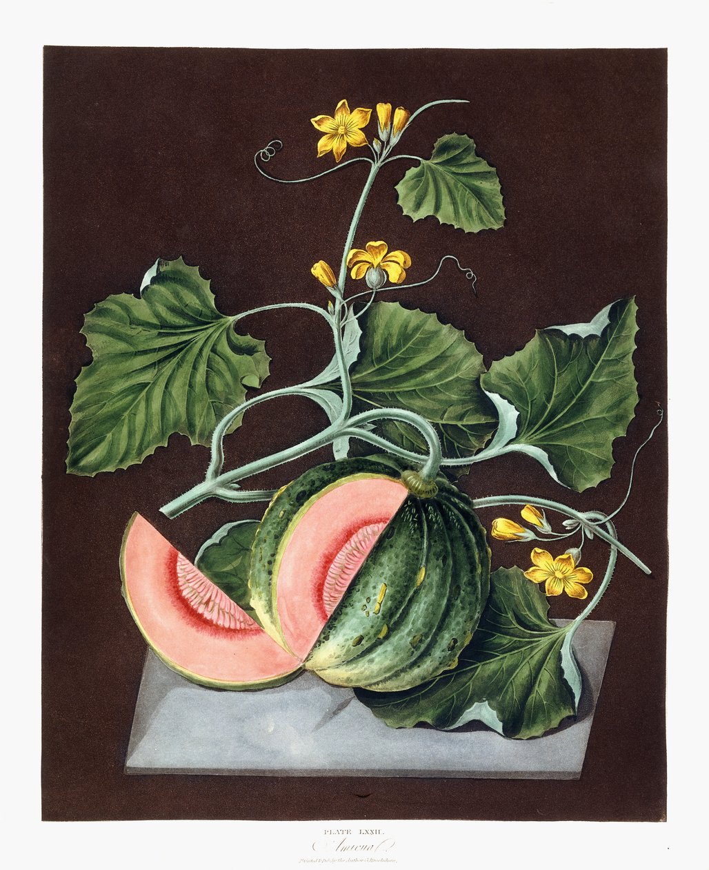 Gresskar, 1812 av George Brookshaw