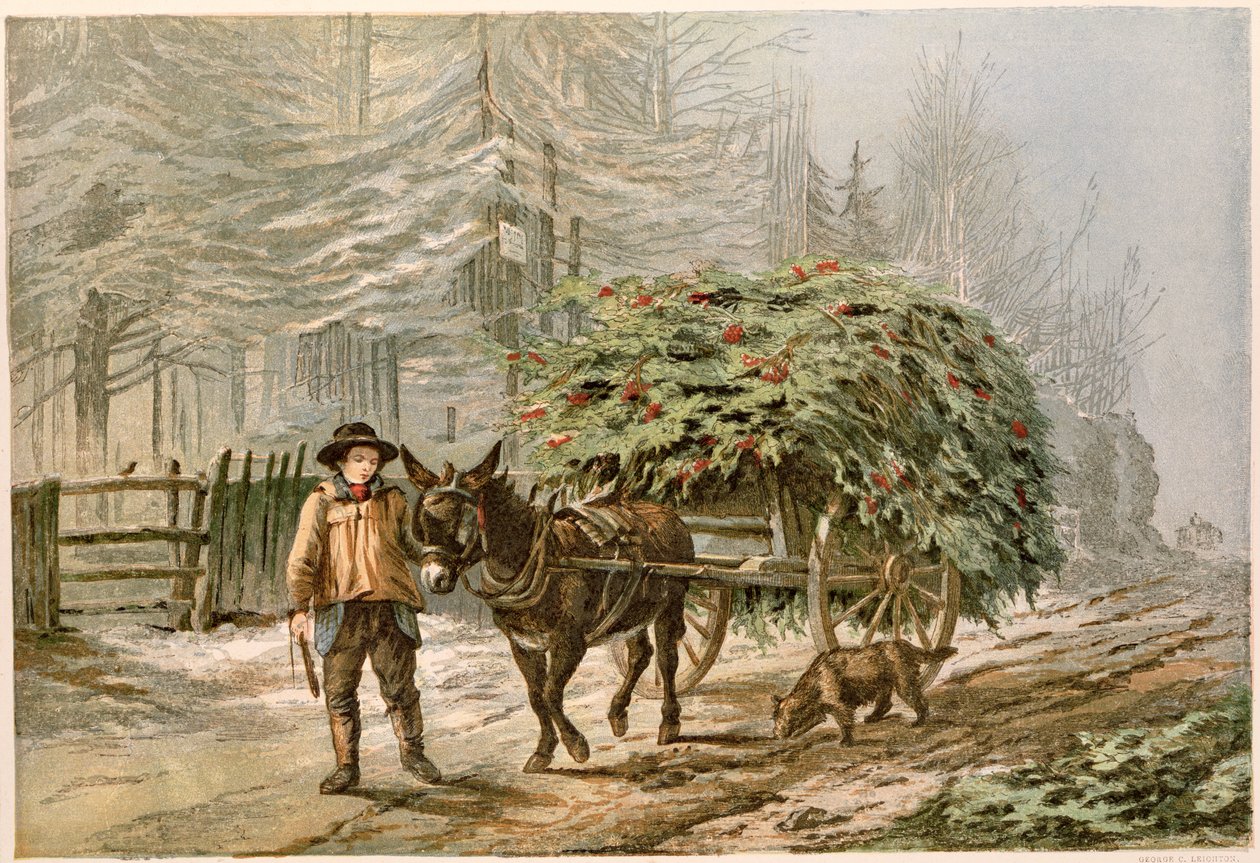 Boy Leading a Donkey and Cart, viktoriansk julekort chromolitho av George C. Leighton