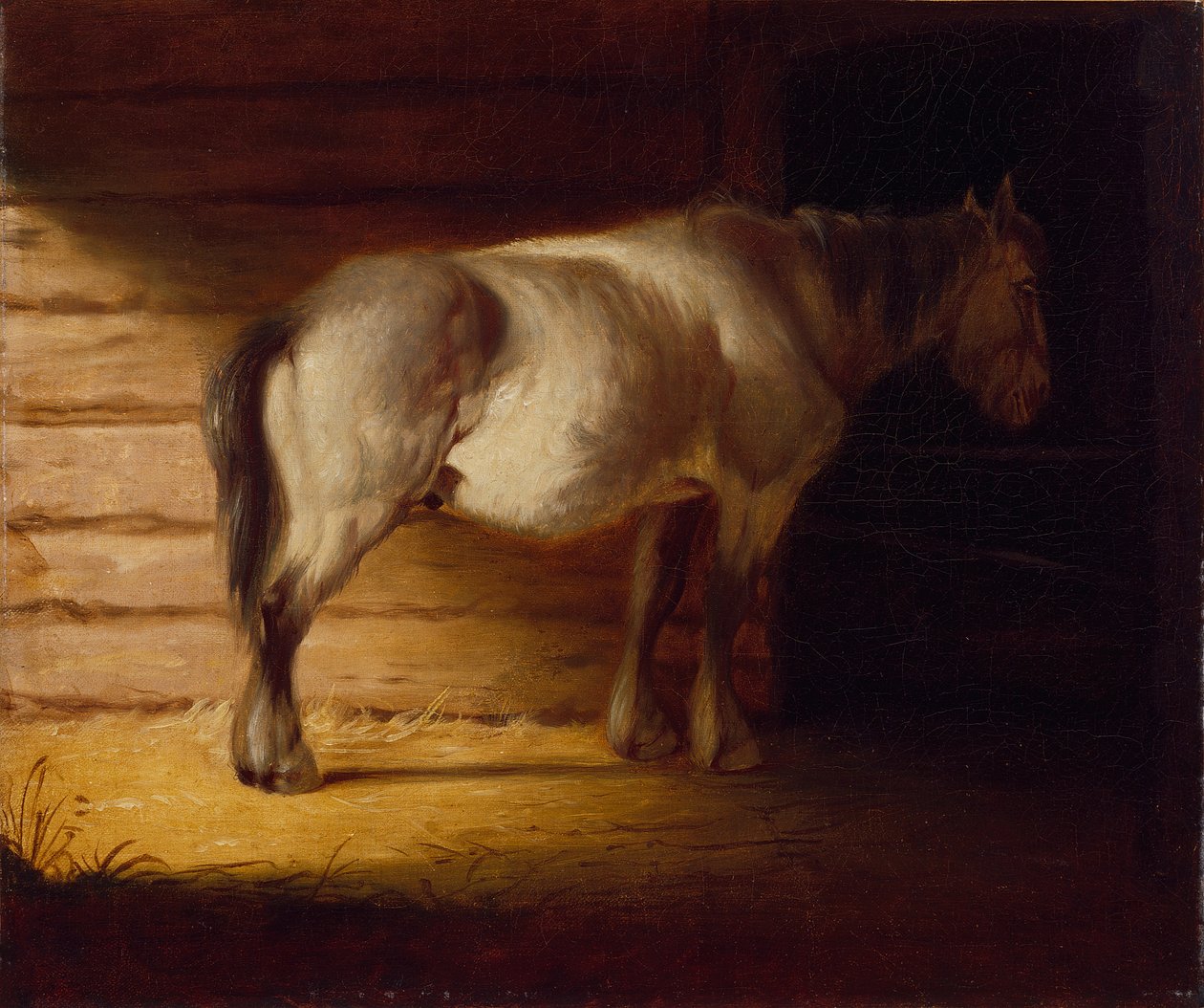  av George Caleb Bingham