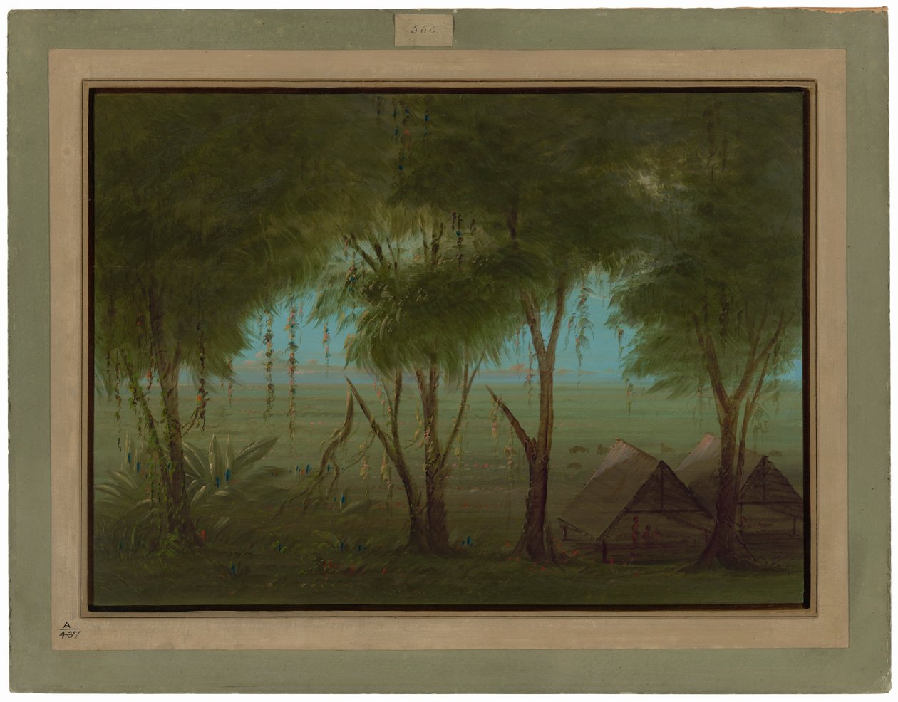 En Connibo-landsby av George Catlin