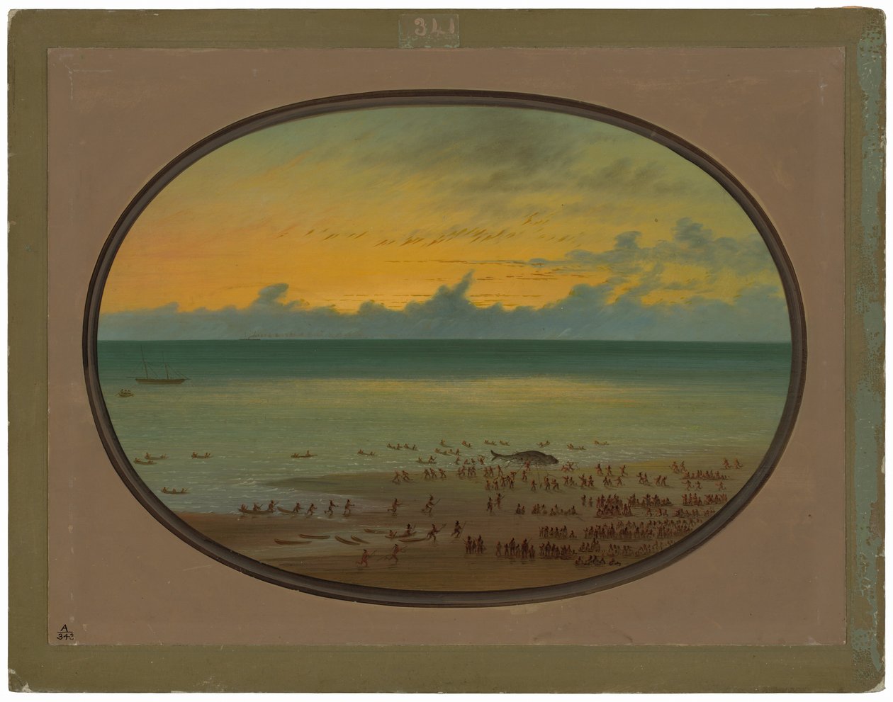 En hval i land - Klahoquat av George Catlin
