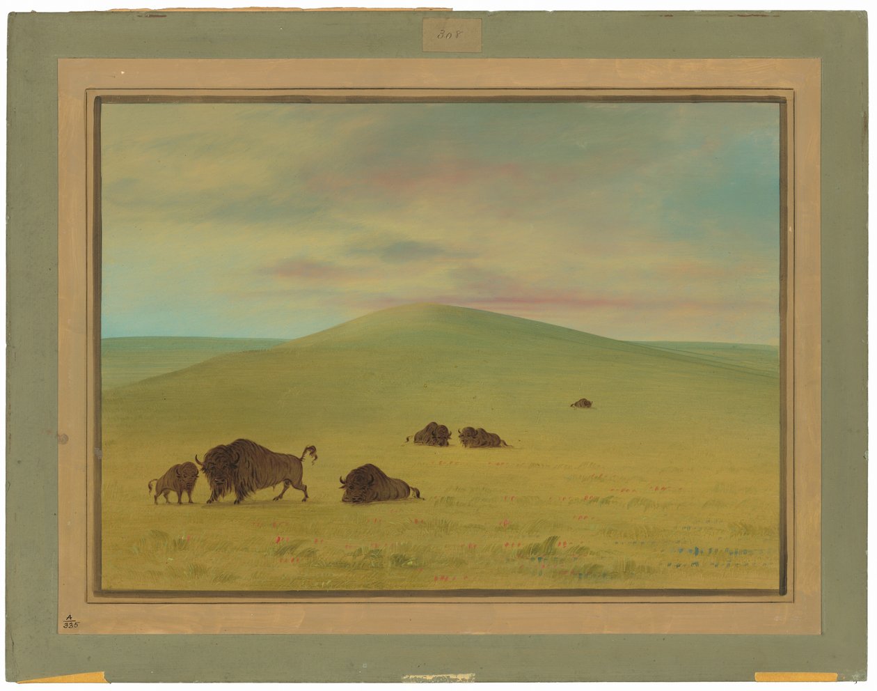 American Pasturage - Prairies of the Platte av George Catlin