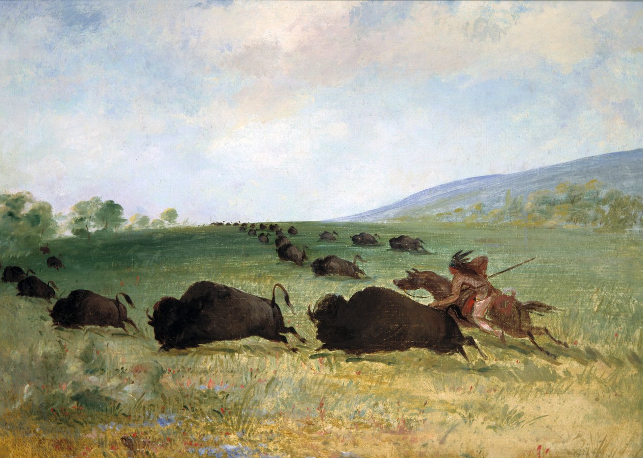 An Osage Indian Lancing a Buffalo, 1846-1848.    1180400   no       norwegian Successfully Translated  Original: Boerderij tussen hoge bomen, Ewijkshoeve Translat: Boerderij tussen hoge bomen, Ewijkshoeve 1384412 no norwegian Successfully Translated Origin av George Catlin