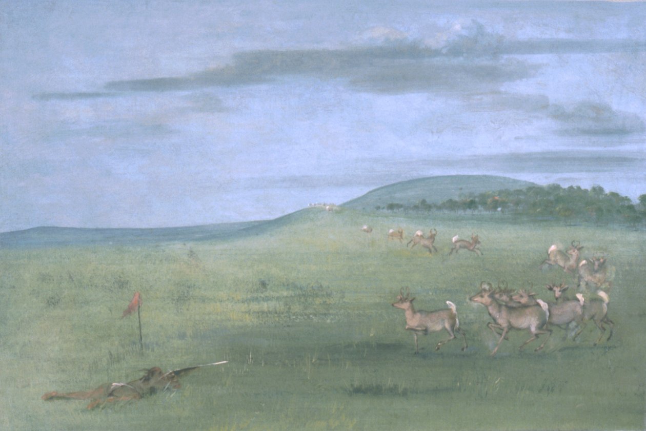  av George Catlin