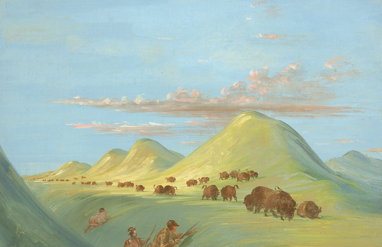  av George Catlin