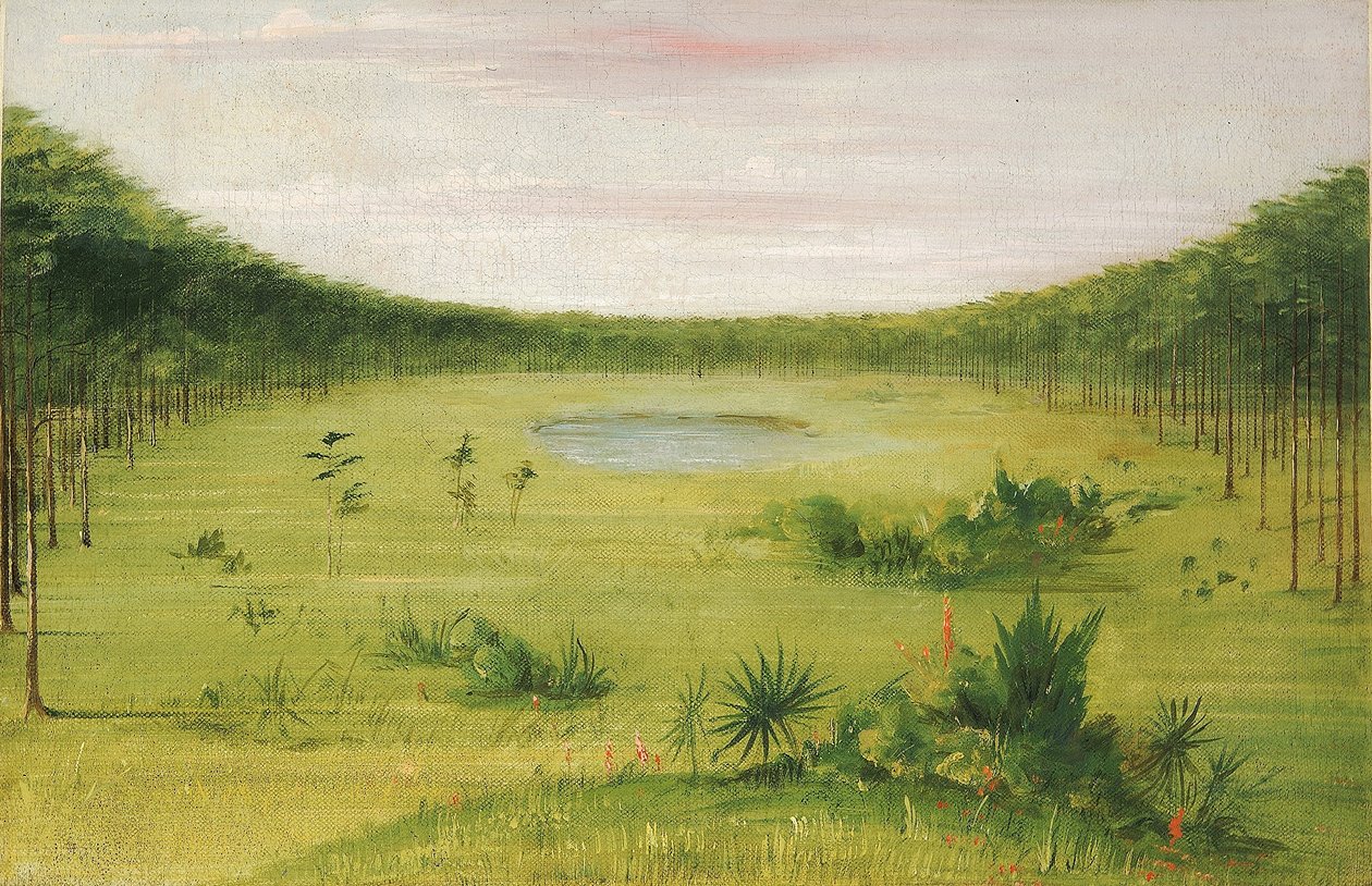 av George Catlin