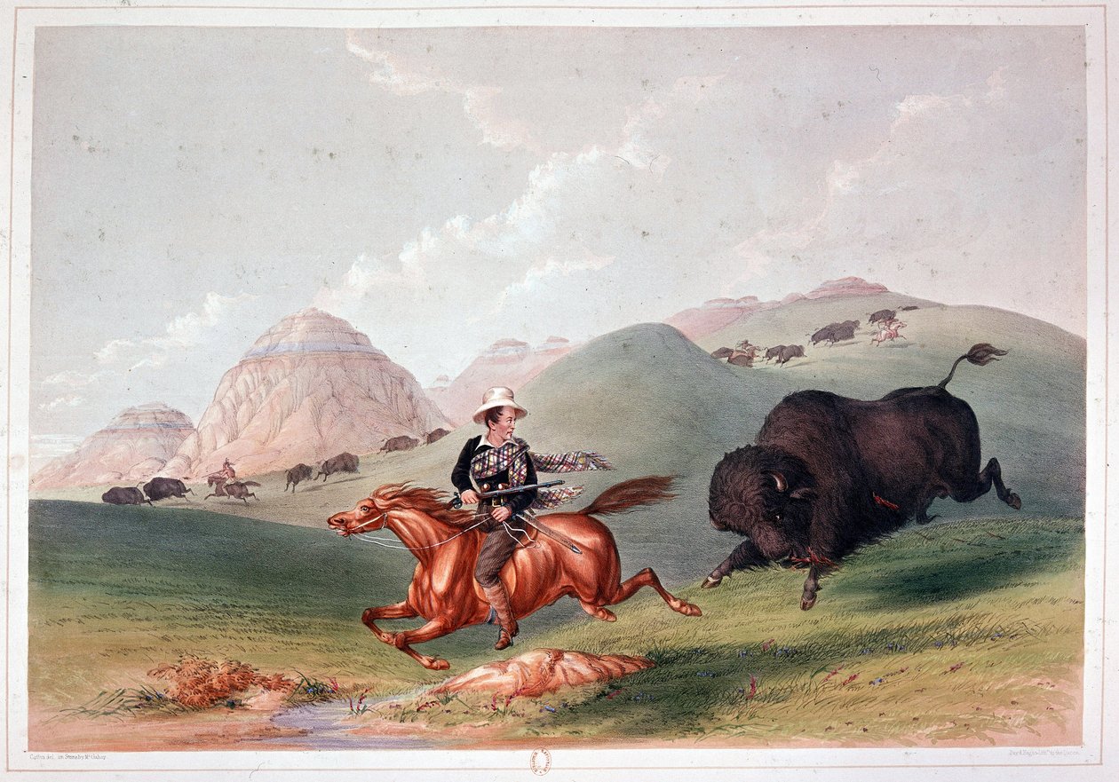 Bison Hunt in North America - litografi av Georges Catlin av George Catlin