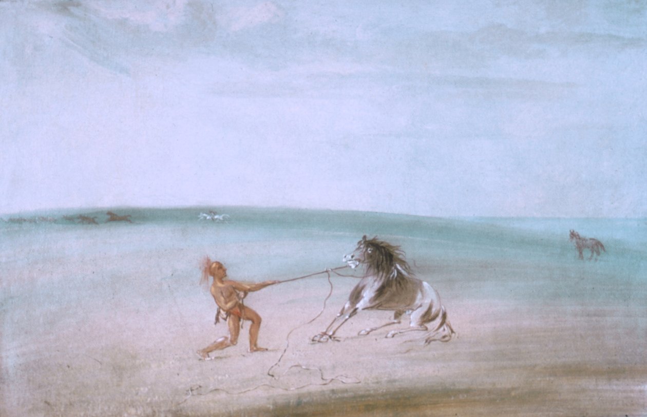  av George Catlin