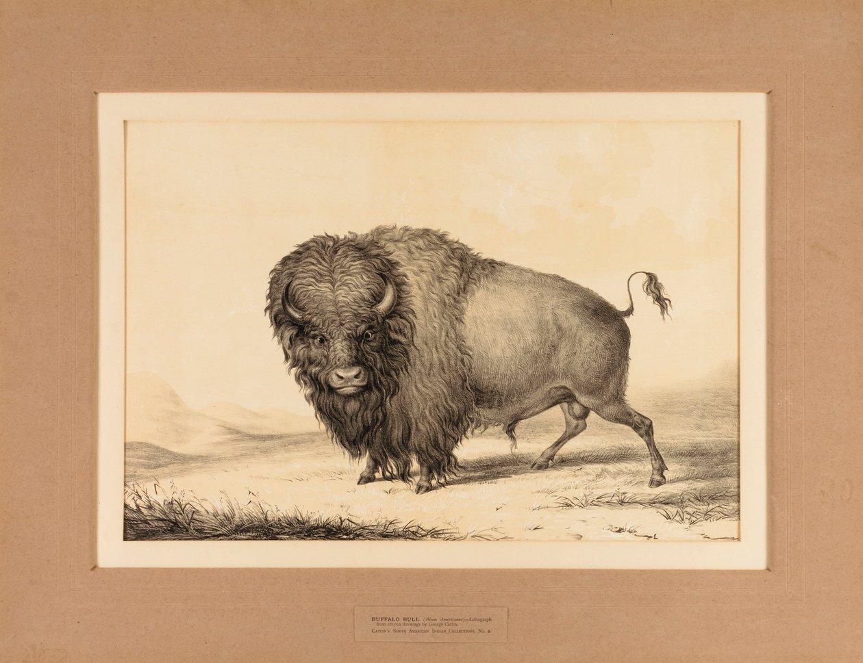  av George Catlin