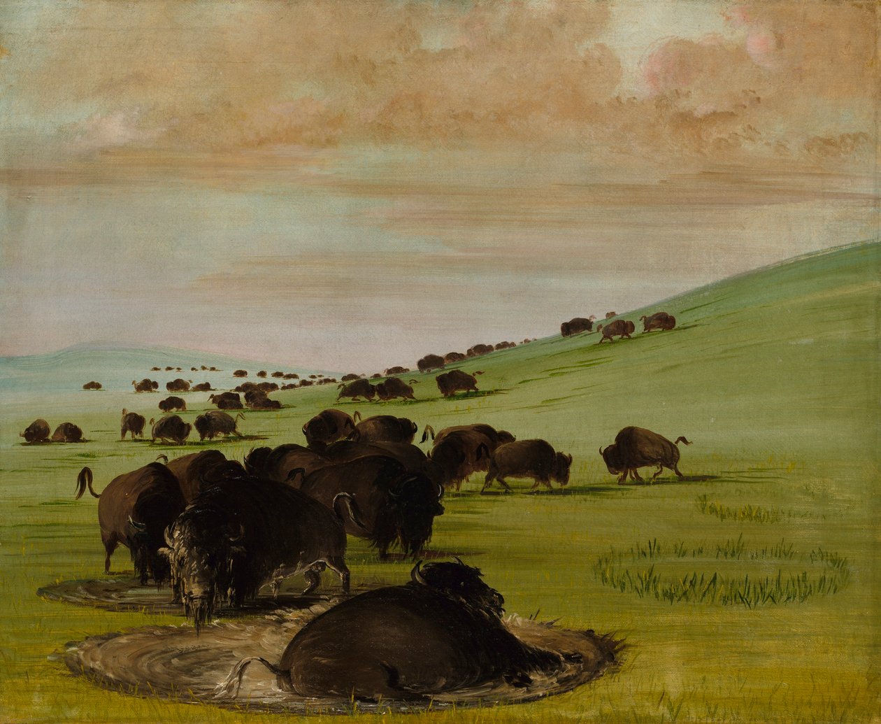  av George Catlin