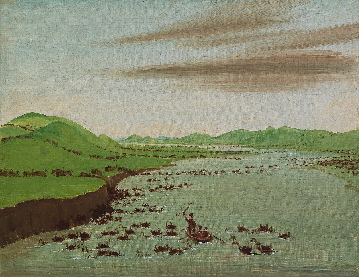  av George Catlin