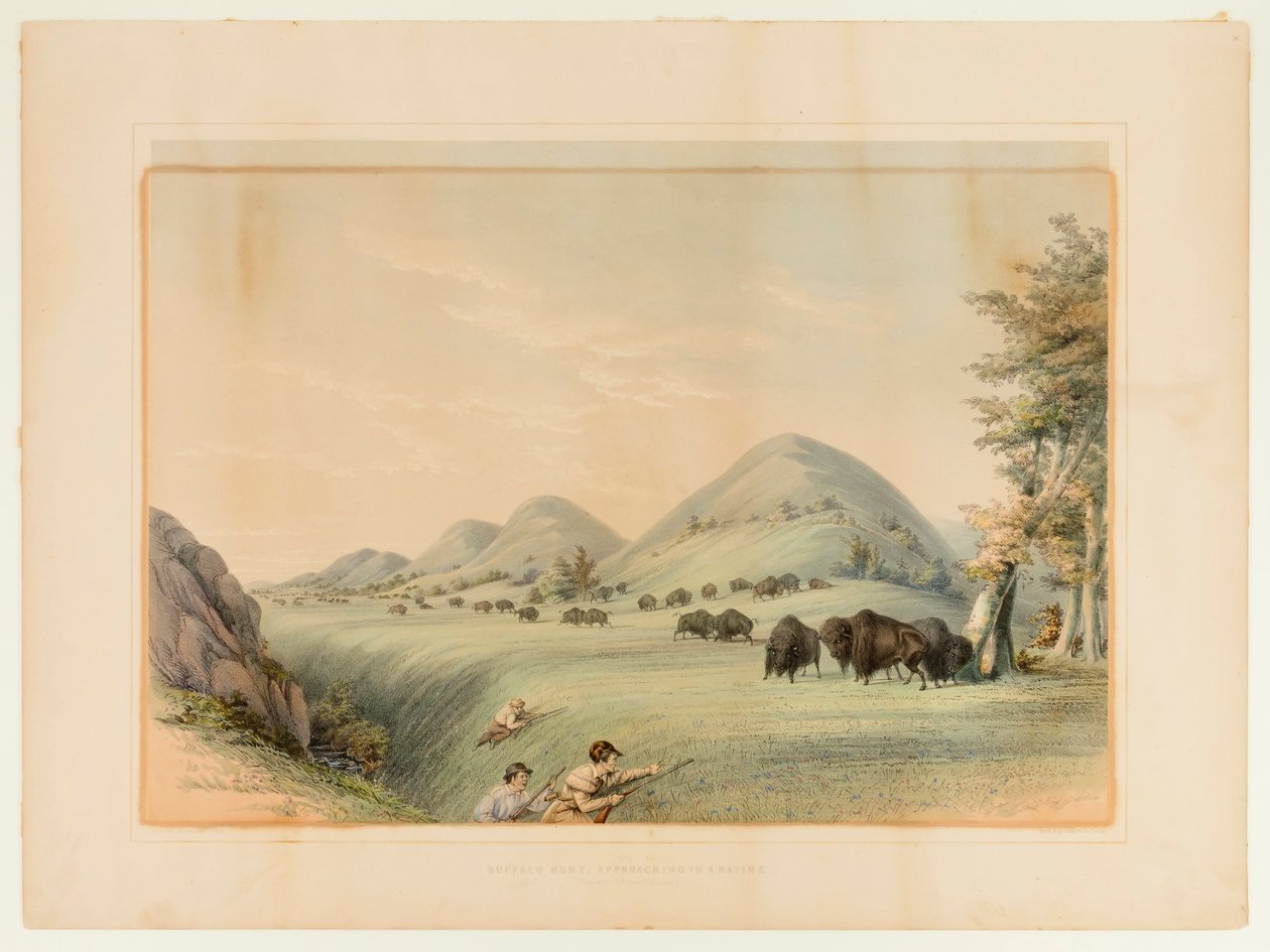  av George Catlin