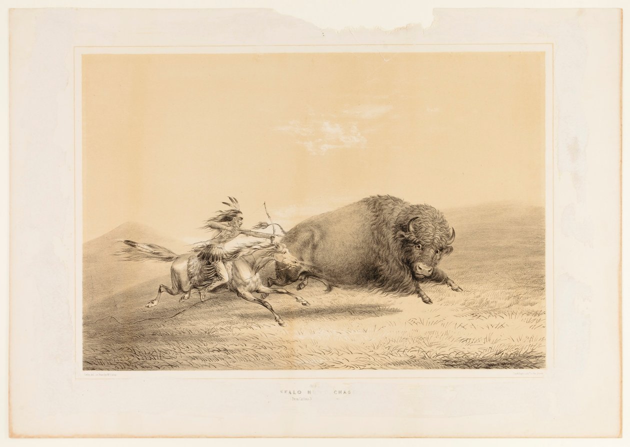  av George Catlin