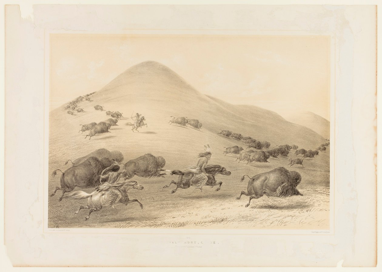  av George Catlin