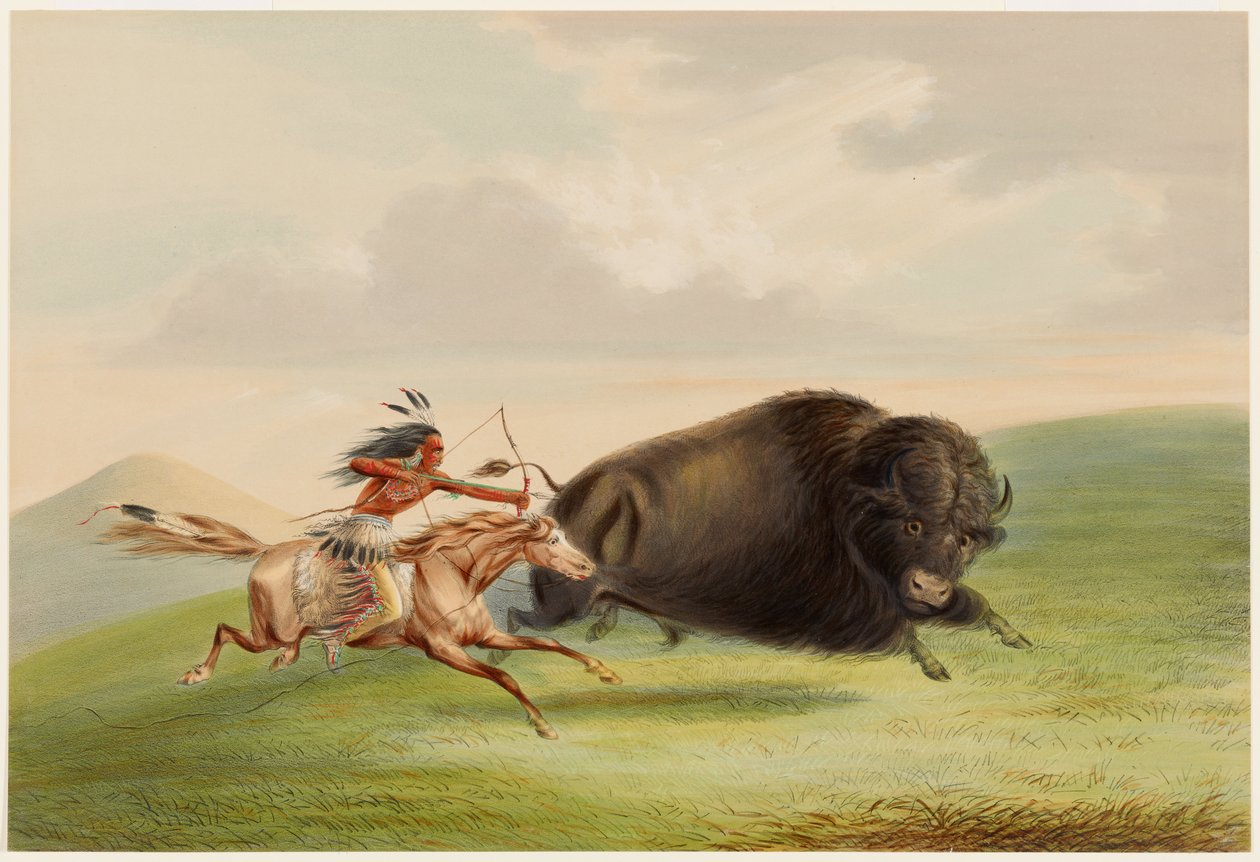 Bisonjakt, forfølgelse av George Catlin