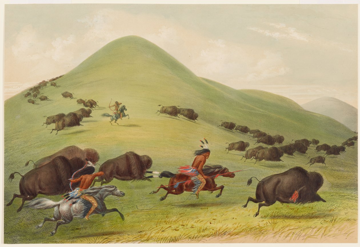 Bøffeljakt: Forfølgelse av George Catlin
