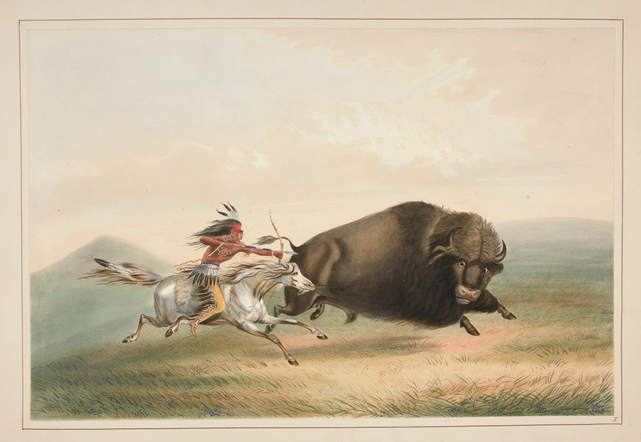 Buffalo Hunt, Chase, pl. 5 fra North American Indian Portfolio av George Catlin