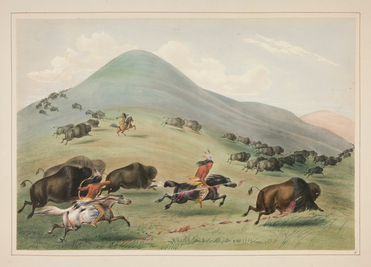 Buffalo Hunt, Chase, pl. 6 fra North American Indian Portfolio av George Catlin