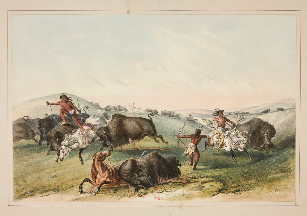 Buffalo Hunt, Chase, pl. 7 fra North American Indian Portfolio av George Catlin
