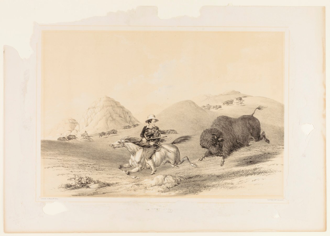  av George Catlin
