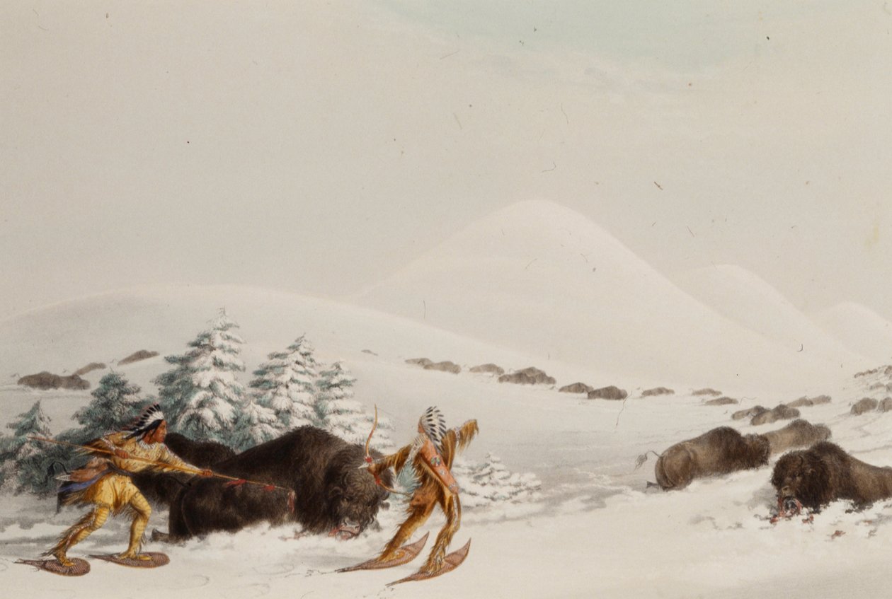 Bøffeljakt på truger av George Catlin