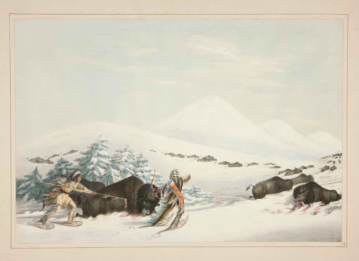 Buffalo Hunt, On Snow Shoes, pl. 15 fra North American Indian Portfolio av George Catlin