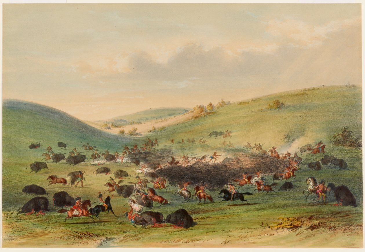 Bøffeljakt, omringing av George Catlin