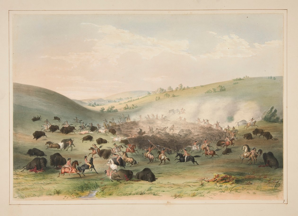 Buffalo Hunt, Surround, pl. 9 fra North American Indian Portfolio av George Catlin