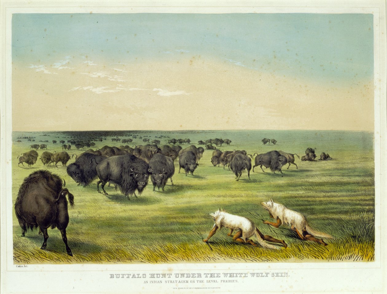 Bøffeljakt under den hvite ulveskinnet av George Catlin