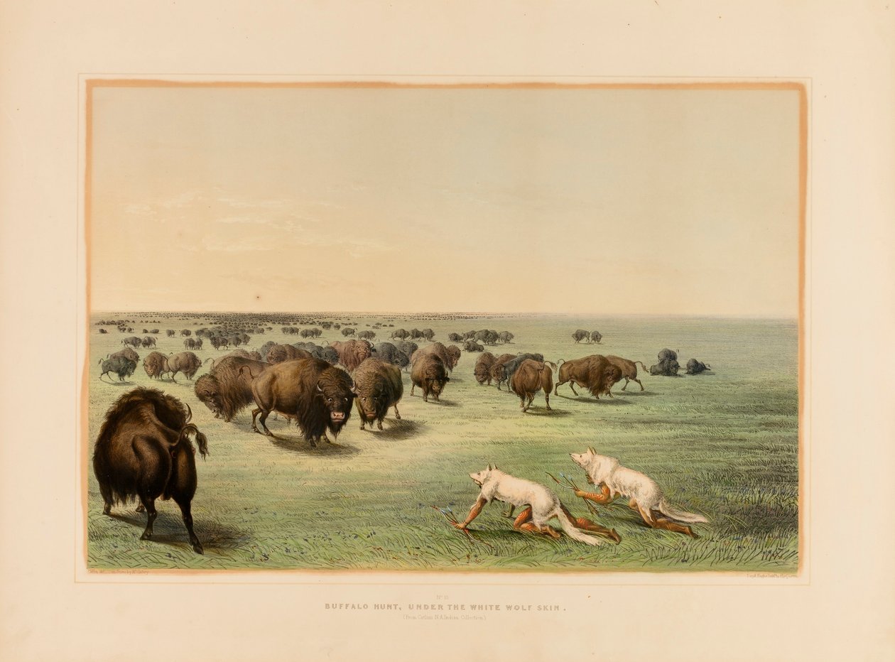  av George Catlin