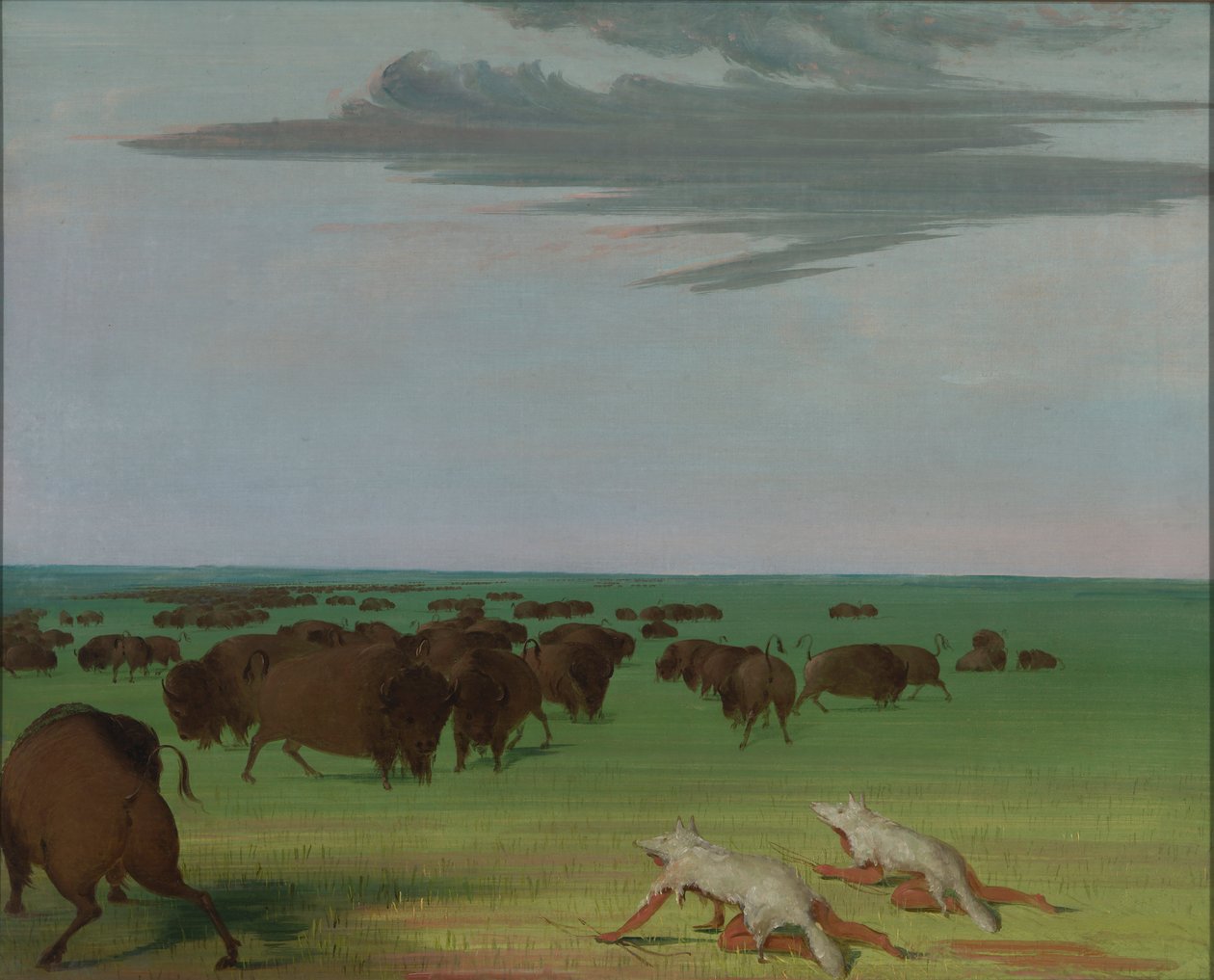  av George Catlin