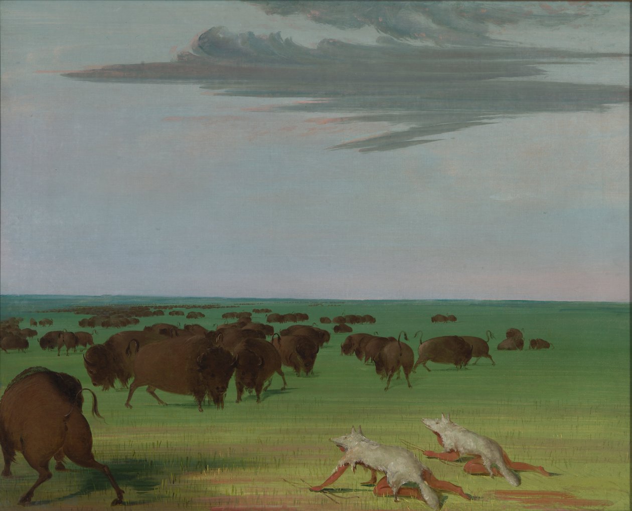 Bøffeljakt under ulvehudmasken, 1832-1833. av George Catlin