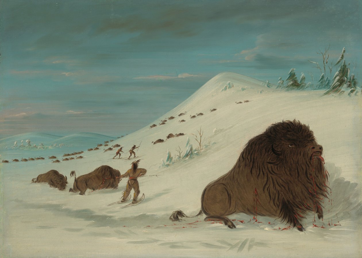 Buffalo Lancing in the Snow Drifts - Sioux, 18611869. av George Catlin